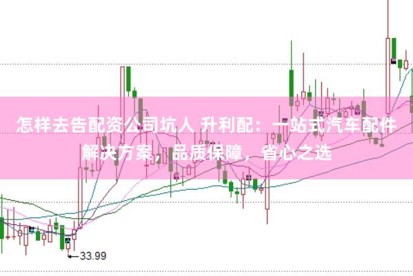 怎样去告配资公司坑人 升利配：一站式汽车配件解决方案，品质保障，省心之选