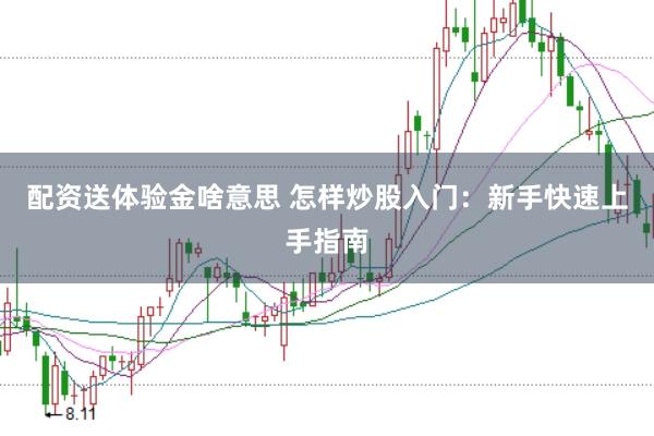 配资送体验金啥意思 怎样炒股入门：新手快速上手指南
