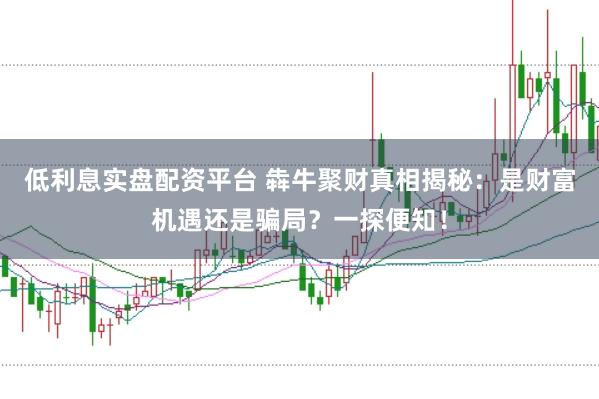 低利息实盘配资平台 犇牛聚财真相揭秘：是财富机遇还是骗局？一探便知！
