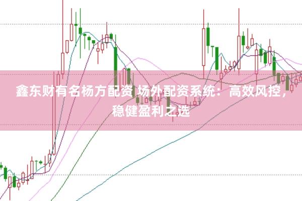 鑫东财有名杨方配资 场外配资系统：高效风控，稳健盈利之选