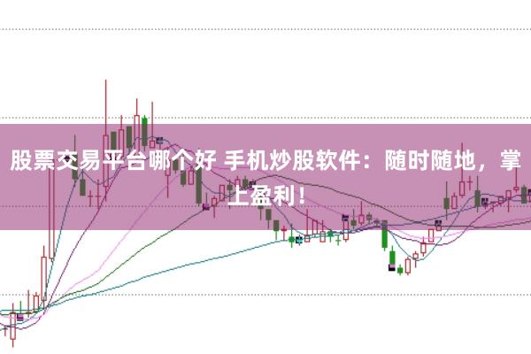 股票交易平台哪个好 手机炒股软件：随时随地，掌上盈利！