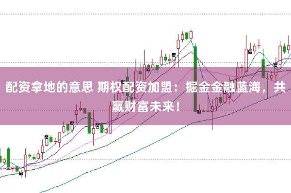 配资拿地的意思 期权配资加盟：掘金金融蓝海，共赢财富未来！