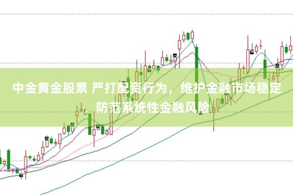 中金黄金股票 严打配资行为，维护金融市场稳定，防范系统性金融风险
