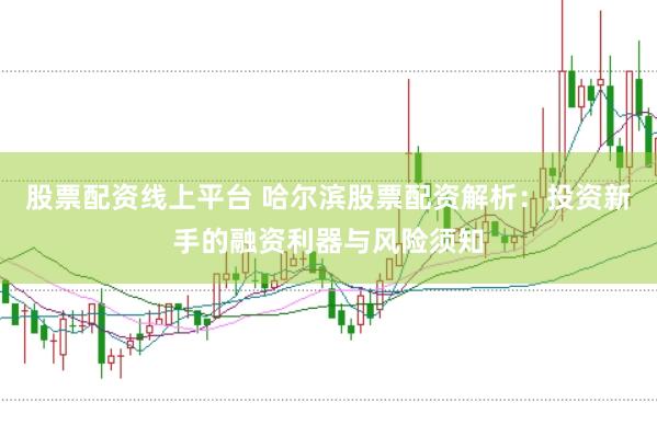 股票配资线上平台 哈尔滨股票配资解析：投资新手的融资利器与风险须知