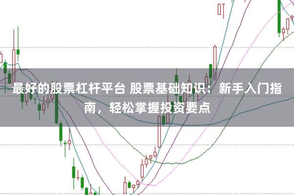 最好的股票杠杆平台 股票基础知识：新手入门指南，轻松掌握投资要点