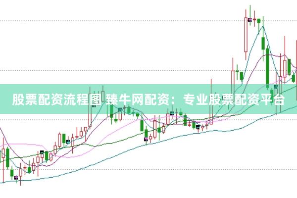 股票配资流程图 臻牛网配资：专业股票配资平台