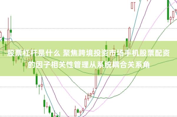 股票杠杆是什么 聚焦跨境投资市场手机股票配资的因子相关性管理从系统耦合关系角