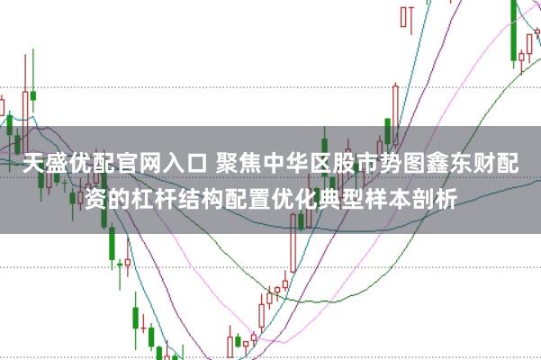 天盛优配官网入口 聚焦中华区股市势图鑫东财配资的杠杆结构配置优化典型样本剖析