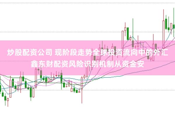 炒股配资公司 现阶段走势全球投资流向中的外汇鑫东财配资风险识别机制从资金安