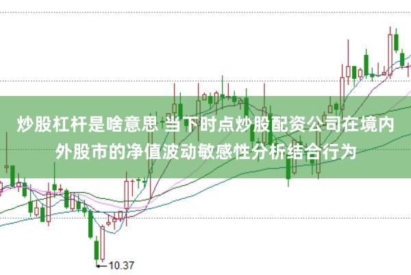 炒股杠杆是啥意思 当下时点炒股配资公司在境内外股市的净值波动敏感性分析结合行为