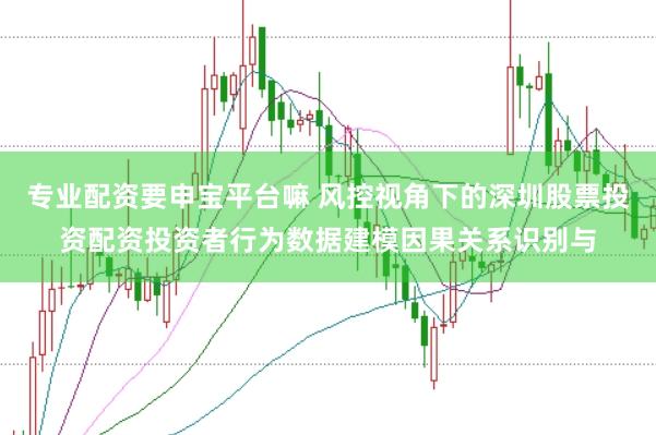 专业配资要申宝平台嘛 风控视角下的深圳股票投资配资投资者行为数据建模因果关系识别与
