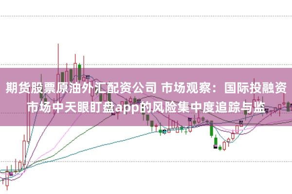 期货股票原油外汇配资公司 市场观察：国际投融资市场中天眼盯盘app的风险集中度追踪与监