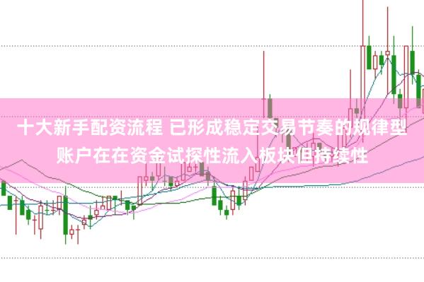 十大新手配资流程 已形成稳定交易节奏的规律型账户在在资金试探性流入板块但持续性