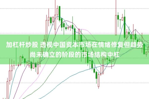 加杠杆炒股 透视中国资本市场在情绪修复但趋势尚未确立的阶段的市场结构中杠