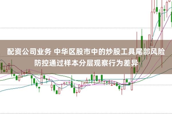 配资公司业务 中华区股市中的炒股工具尾部风险防控通过样本分层观察行为差异