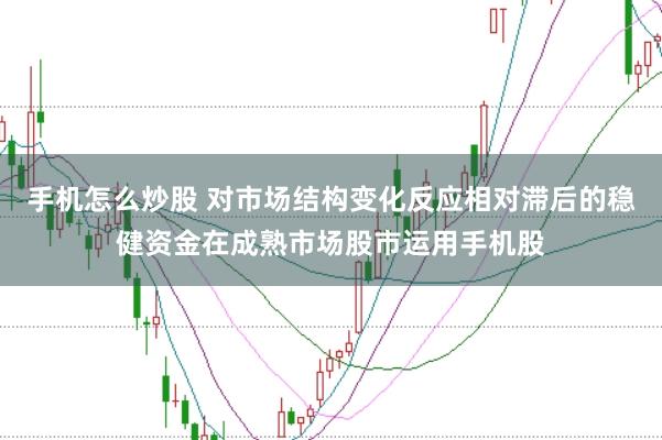 手机怎么炒股 对市场结构变化反应相对滞后的稳健资金在成熟市场股市运用手机股