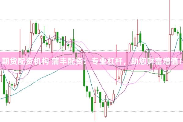 期货配资机构 蒲丰配资：专业杠杆，助您财富增值！