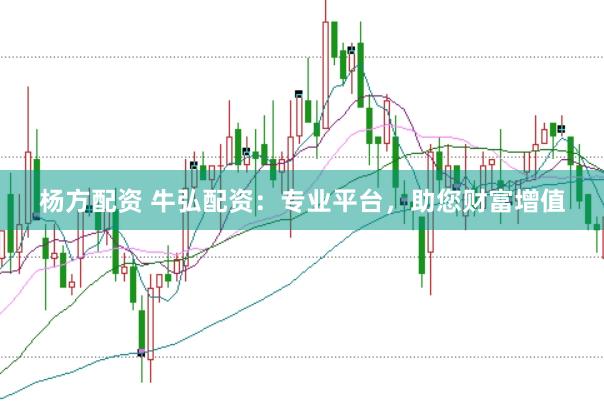 杨方配资 牛弘配资:专业平台,助您财富增值
