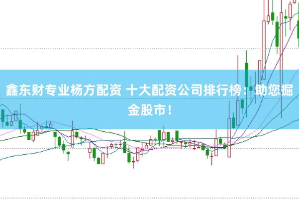 鑫东财专业杨方配资 十大配资公司排行榜：助您掘金股市！