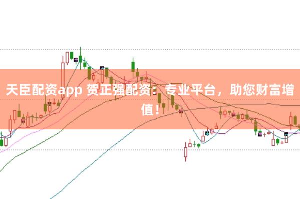 天臣配资app 贺正强配资：专业平台，助您财富增值！