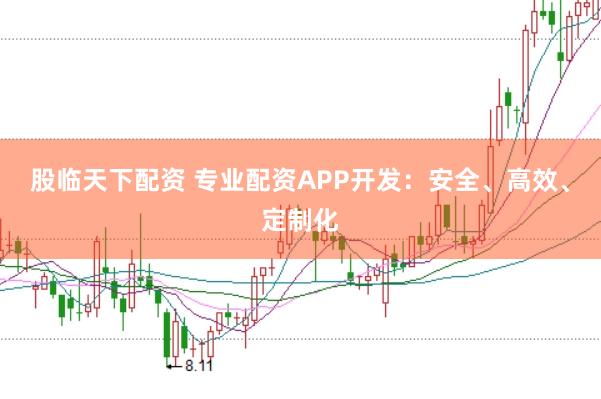 股临天下配资 专业配资APP开发:安全、高效、定制化