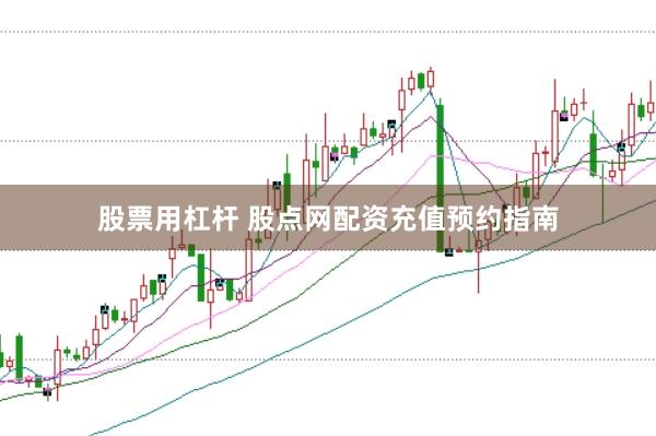 股票用杠杆 股点网配资充值预约指南