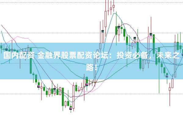 国内配资 金融界股票配资论坛：投资必备，未来之路！