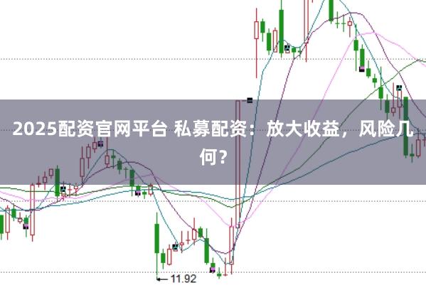 2025配资官网平台 私募配资：放大收益，风险几何？