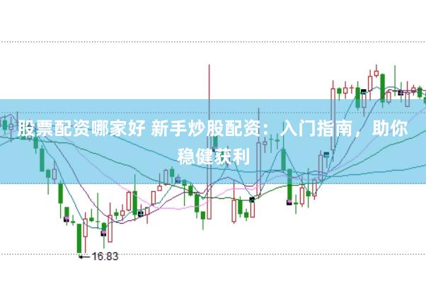 股票配资哪家好 新手炒股配资：入门指南，助你稳健获利