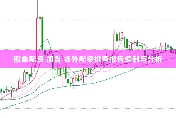 股票配资 加盟 场外配资排查报告编制与分析