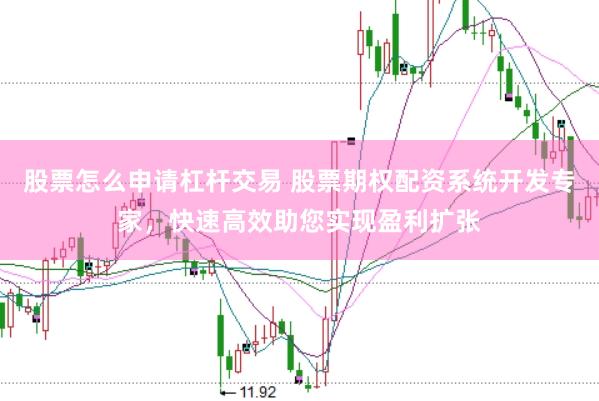 股票怎么申请杠杆交易 股票期权配资系统开发专家，快速高效助您实现盈利扩张
