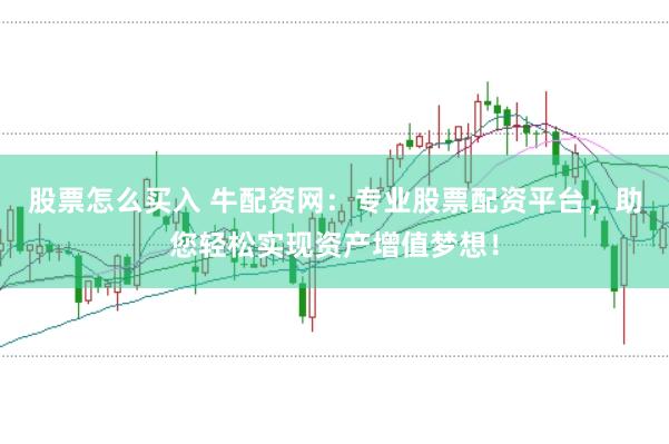 股票怎么买入 牛配资网：专业股票配资平台，助您轻松实现资产增值梦想！