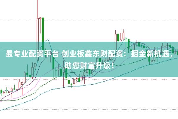 最专业配资平台 创业板鑫东财配资：掘金新机遇，助您财富升级！