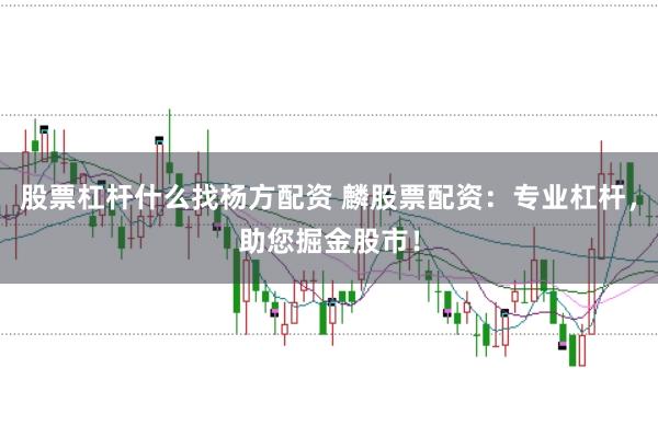 股票杠杆什么找杨方配资 麟股票配资：专业杠杆，助您掘金股市！